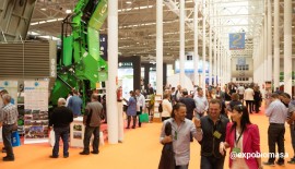 Expobiomasa2 Expobiomasa2
