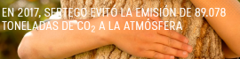 Sertego Sertego