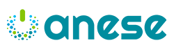 ANESE Logo