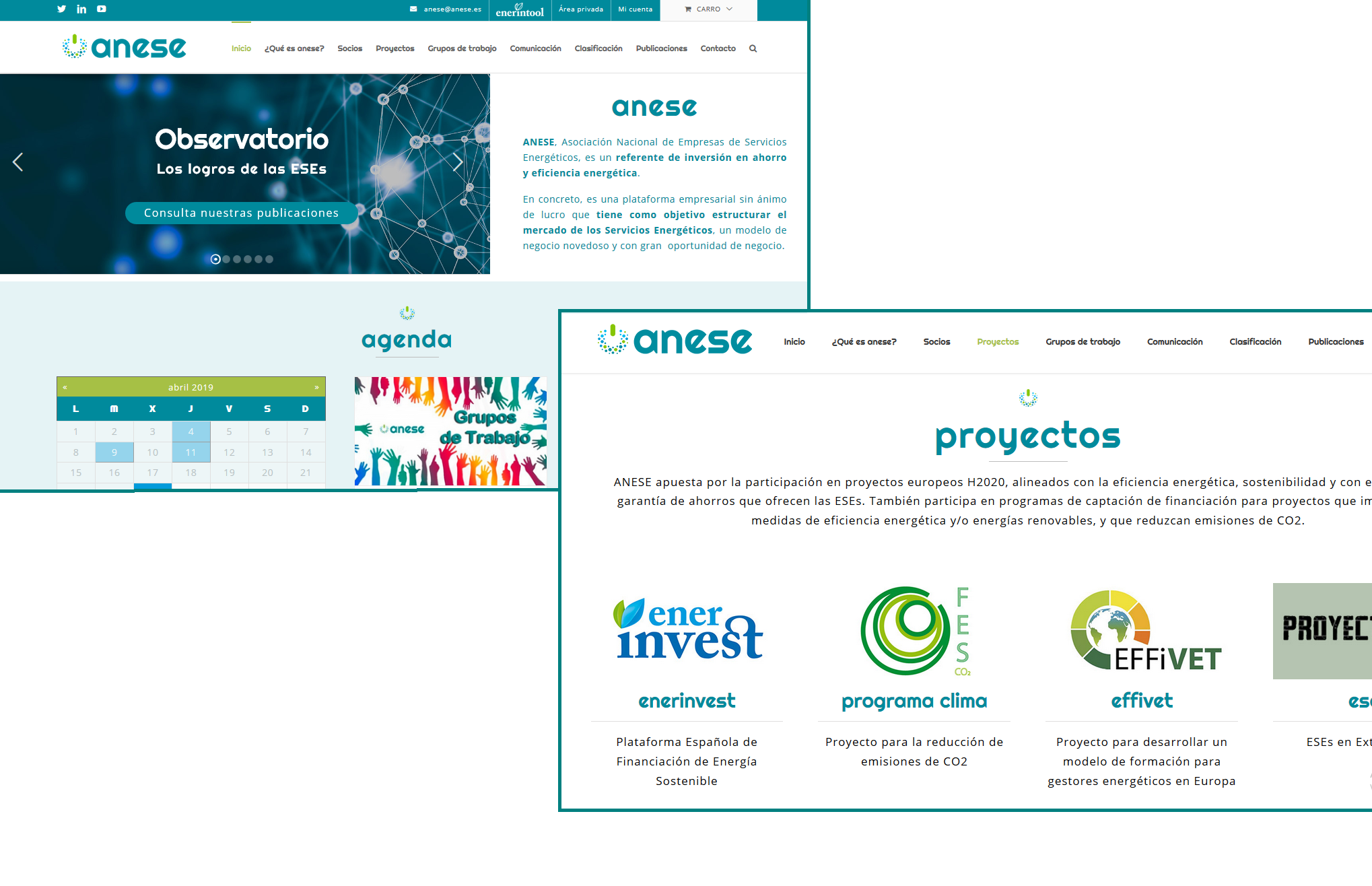 ANESE nueva web