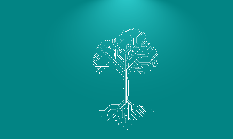 BBVA research La preservación de la biodiversidad emerge con fuerza y será clave en el debate sobre sostenibilidad, según BBVA Research