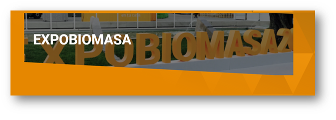 ANESE y algunas de sus empresas analizan el papel de la biomasa en el proceso de descarbonización en Expobiomasa