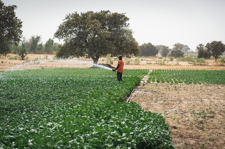 Wilo y Africa GreenTec: El objetivo de mejorar la vida de las personas a través de la electricidad sostenible y el agua potable limpia