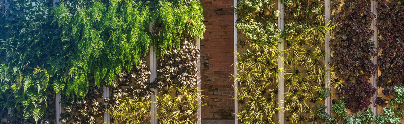 Sorigué reinvierte 190 millones de euros en sostenibilidad