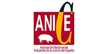 Logo de Anice