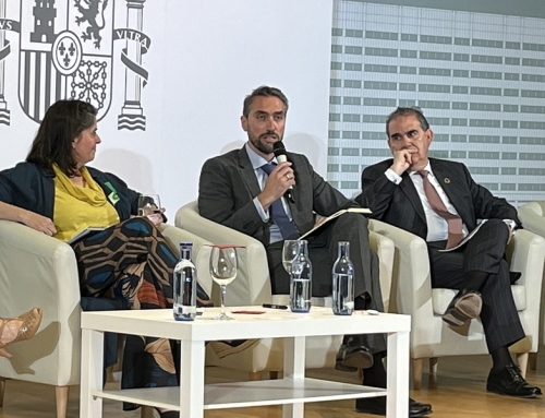 ANESE participa en la sesión de eficiencia energética de las jornadas de trabajo para la actualización del PNIEC convocadas por el Ministerio de transición Ecológica