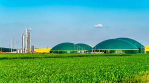 A través del fondo climático de Suma Capital, el BBVA invertirá en economía circular, biogás y biometano 