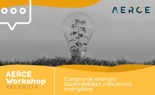 AERCE, en colaboración con ANESE, organiza un workshop sobre compra de energía