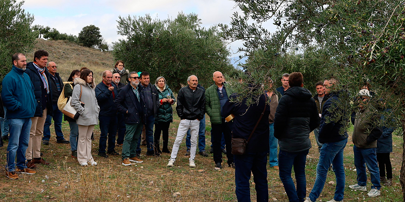 Acciona Energía presenta proyecto para revitalizar la cooperativa de aceite en Villalba del Rey