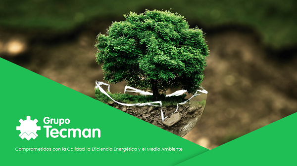 Tecman sujeto delegado Tecman gestiona CAE