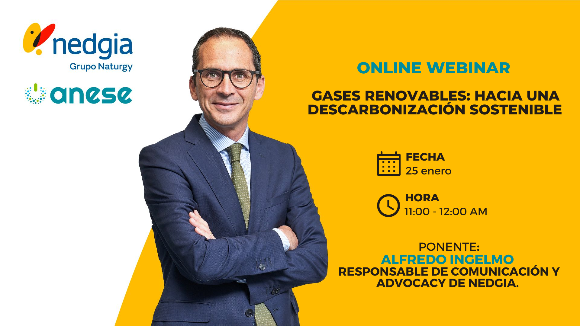 Webinar Nedgia