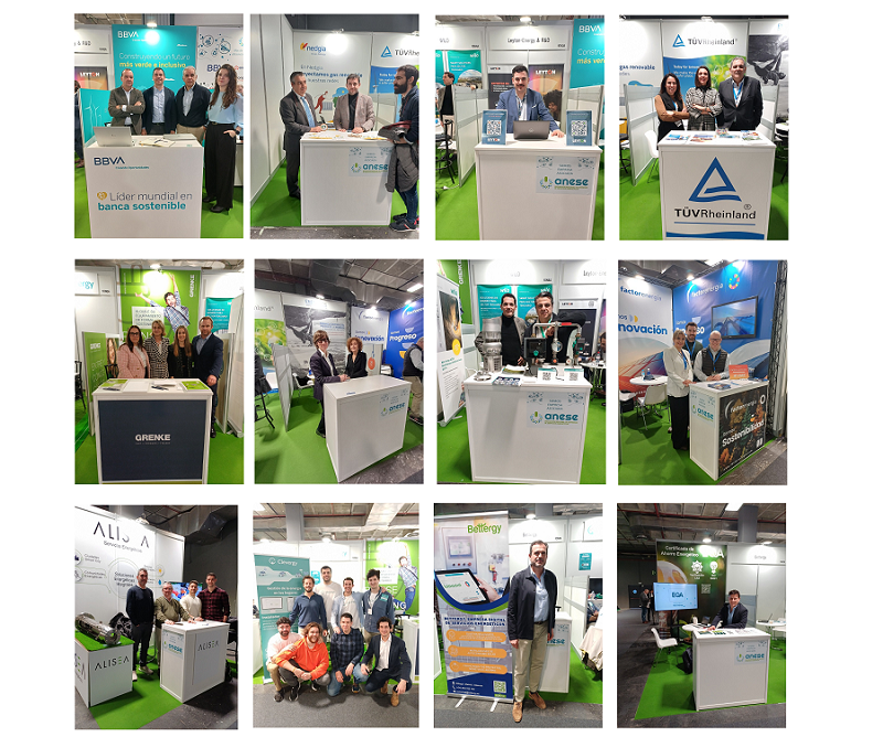 Stand colectivo ANESE