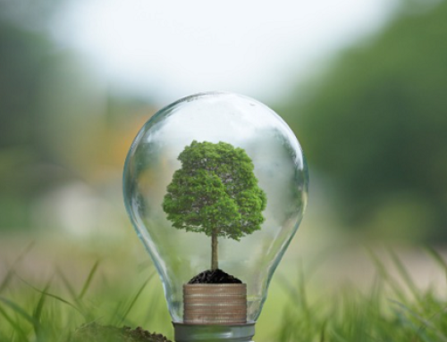 «Sostenibilidad energética; activando el potencial de los CAEs», la nueva jornada de ANESE con el COIIM