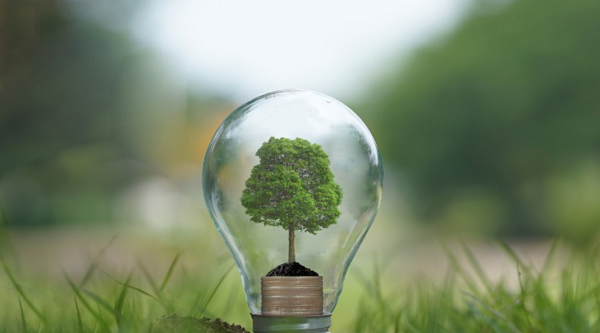«Sostenibilidad energética; activando el potencial de los CAEs», la nueva jornada de ANESE con el COIIM y la Oficina Verde