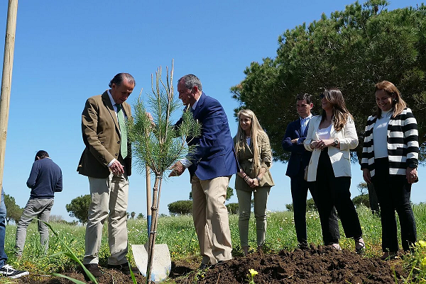 Con motivo de su 40º aniversario, Moneleg planta más de un centenar de pinos en Novo Sancti Petri