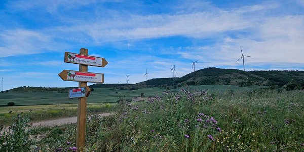 Acciona Palencia Acciona: ‘Descubre El Cerrato Palentino’