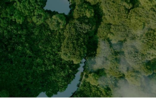 Prysmian apuesta por la sostenibilidad