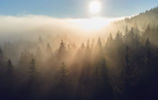 Signify presenta plan de transición al clima