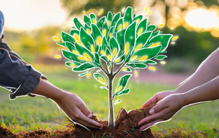 Ener2crowd se asocia con Apadrinaunolivo.org