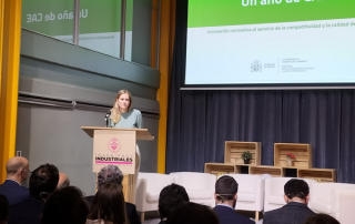 ANESE en evento del MITERD "Un año de CAE"