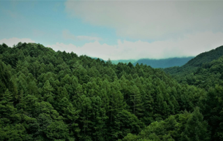 El Gobierno aprueba el Real Decreto que crea el registro de huella de carbono