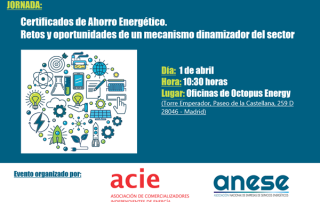 Jornada de ANESE y ACIE sobre CAE