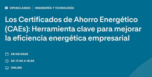 ANESE participa en sesión online sobre CAE organizada por Fundación Repsol y UNIR