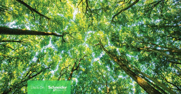 Schneider Electric alcanza el puesto nº 1 del Gartner® Top 25 Supply Chain por tercer año consecutivo