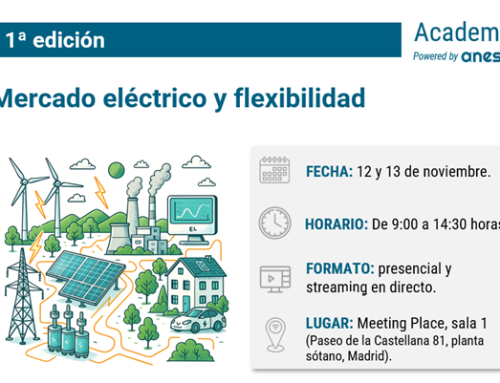 ANESE presenta la 1ª edición del curso «Mercado eléctrico y flexibilidad»