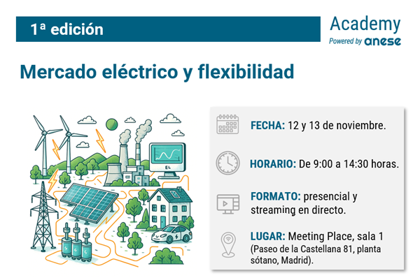 Curso mercado eléctrico