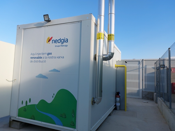 Nedgia inyección de gas verde Nedgia ya ha firmado 90 contratos de inyección de gas verde