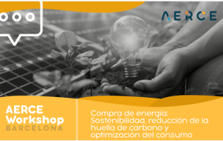 ANESE participa en el workshop de AERCE