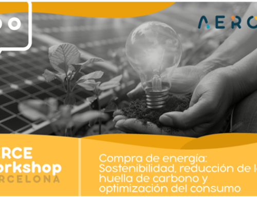 ANESE participa en el workshop de AERCE sobre «Compra de energía: sostenibilidad, reducción de la huella de carbono y optimización del consumo»