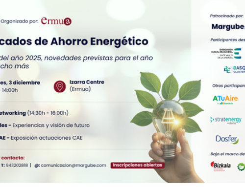 ANESE participa en la jornada sobre CAE que Margube organiza en Ermua