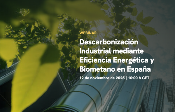 Webinar de Go2 Markets