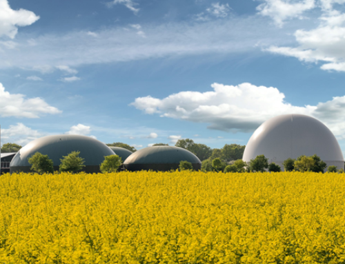 Edison Next adquiere a Iberdrola sus plantas de cogeneración para tratamiento de purines y una cartera de proyectos de biometano