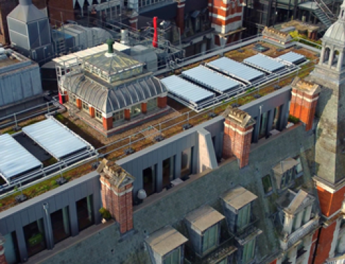 Naked Energy amplía su presencia a España y Portugal