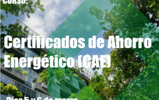 Curso CAE