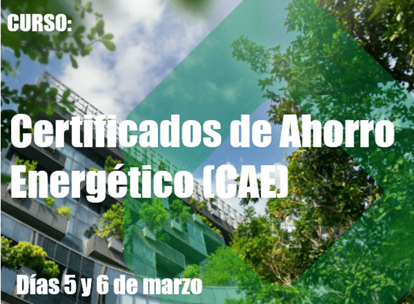 Curso CAE