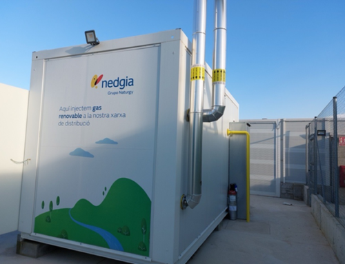 Nedgia canalizó 170 GWh de biometano en 2025
