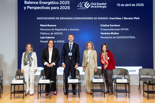 Presentación del balance energético de 2025 y perspectivas para el 2026