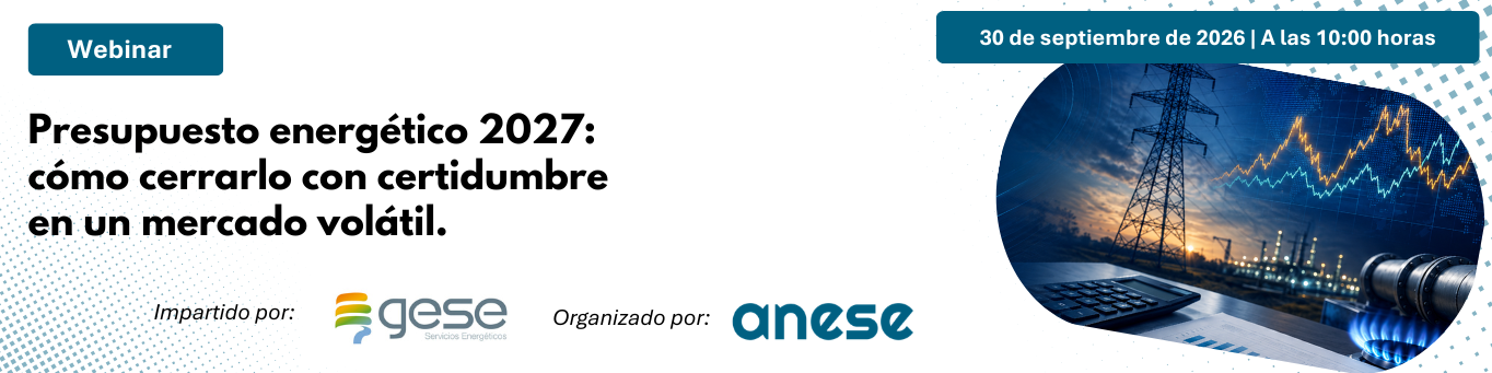 Webinar ANESE y GESE